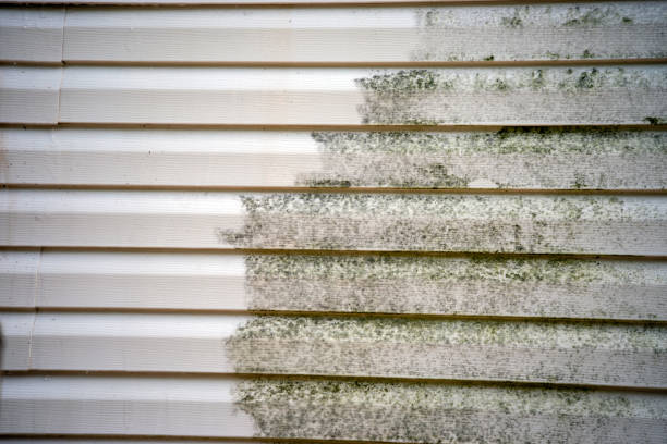 Moving and Downsizing Cleanouts in Appleton City, MO