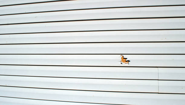 Best Shed Removal  in Appleton City, MO