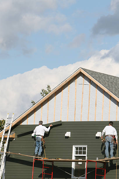 Best Carpet Removal and Disposal  in Appleton City, MO