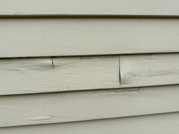 Best Residential Junk Removal  in Appleton City, MO